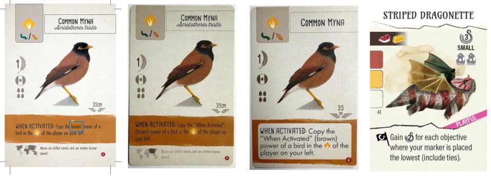 Card images for 3 Wingspan cards - Common Myna) and the Striped Dragonette Wyrmspan card, showing the differences over time that have made them more accessible.