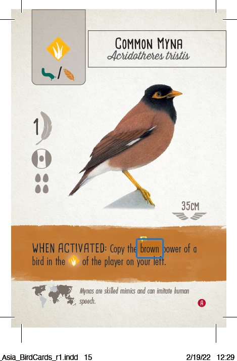 Wingspan card Common Myna prototype card with phrase, "Copy the brown power of a bird..."