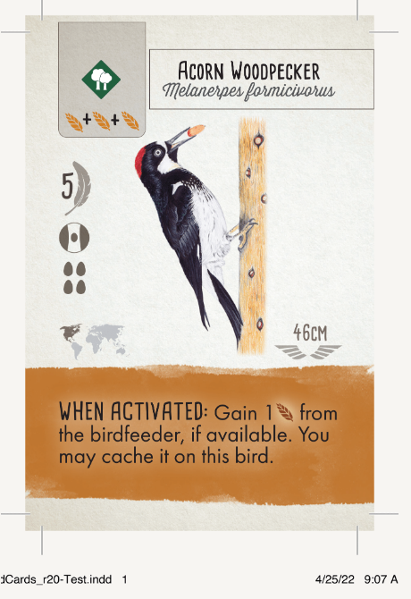 Wingspan Vision-Friendly card Acorn Woodpecker - prototype version.