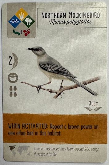 Wingspan card: Northern Mockingbird