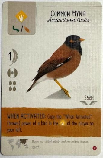 Wingspan card Common Myna prototype card with phrase, "Copy the When Activated (brown) power of a bird..."